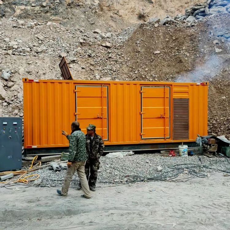 利津如何选择适合自己的 800KW 柴油发电机组？